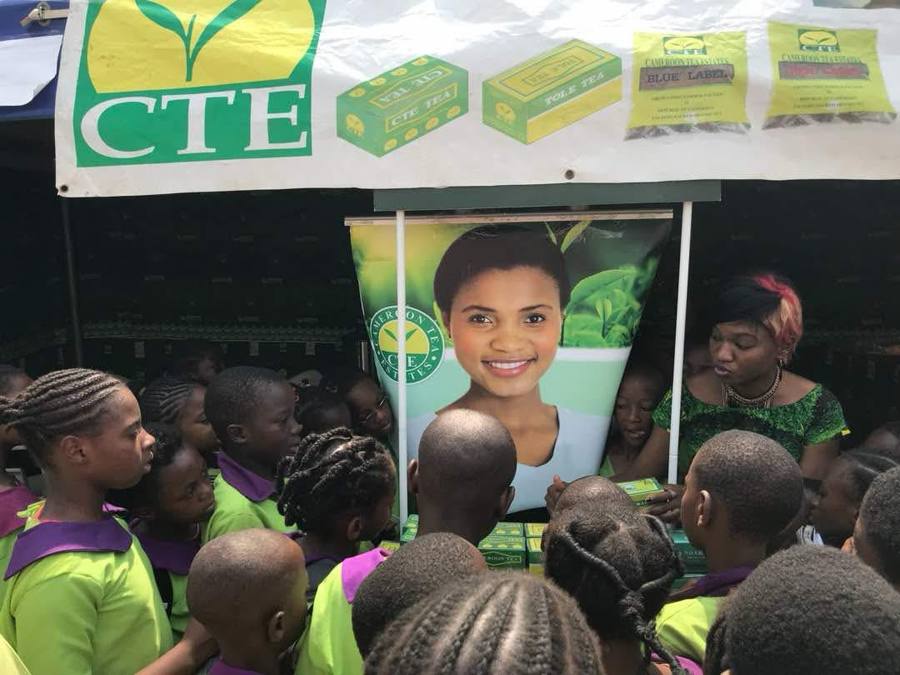 Campagne CTE Cameroon Tea Estates