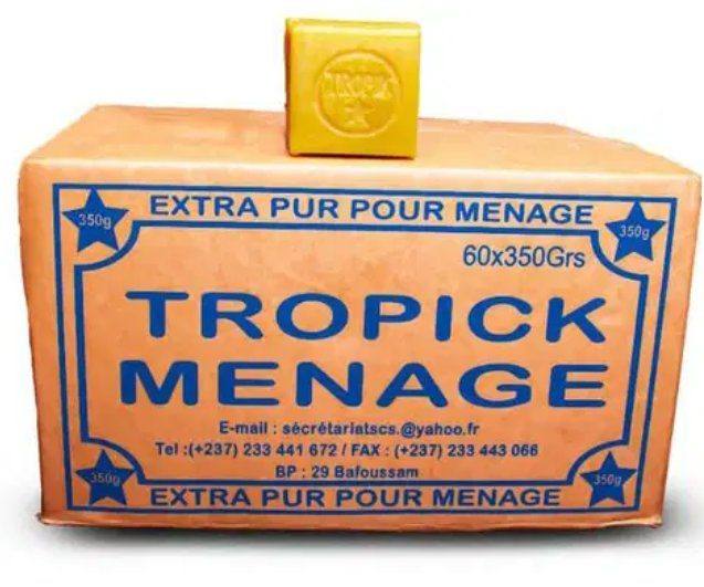 Savon Tropick Ménage 350g carton SCS Bafoussam